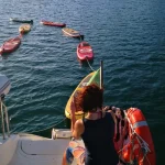 sups in the river